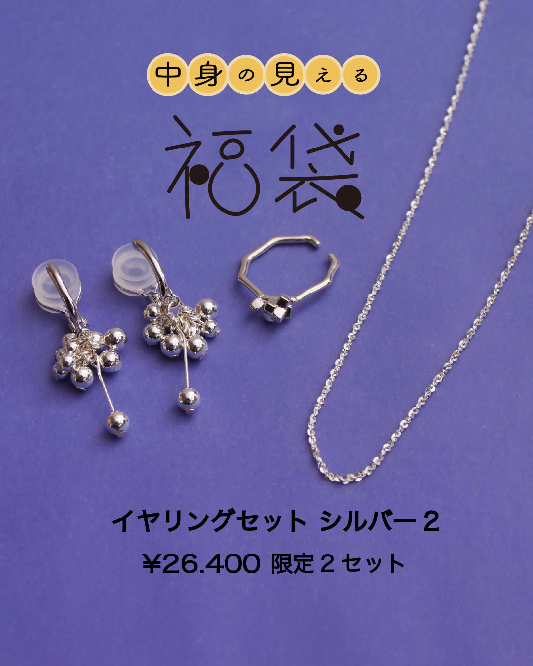 【2026年中身が見える福袋】イヤリングセット シルバー2