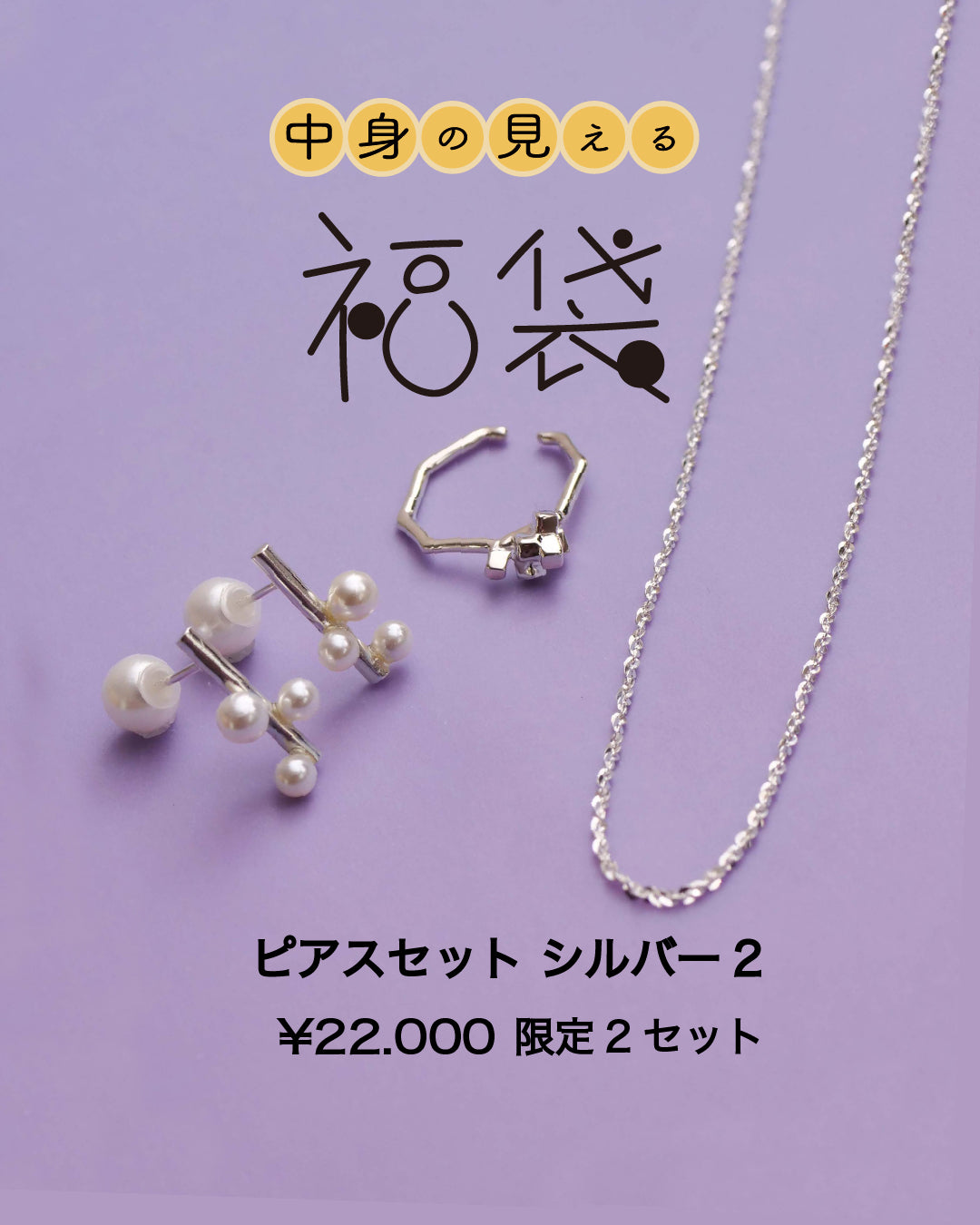 【2026年中身が見える福袋】ピアスセット シルバー2