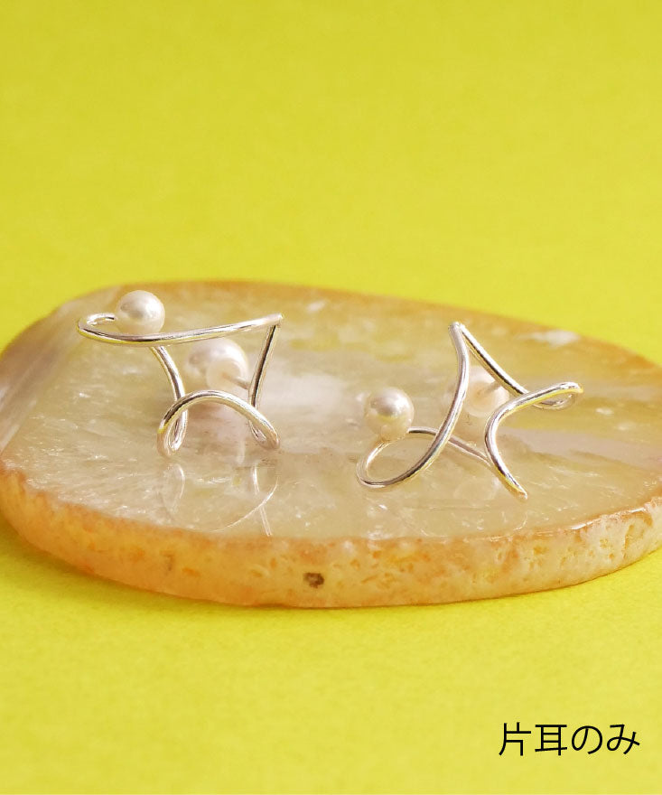 【2026年中身が見える福袋】ピアスセット シルバー１