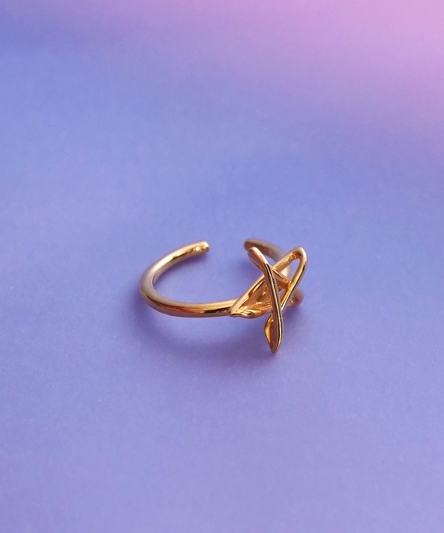 【2026年中身が見える福袋】イヤーカフセット ゴールド